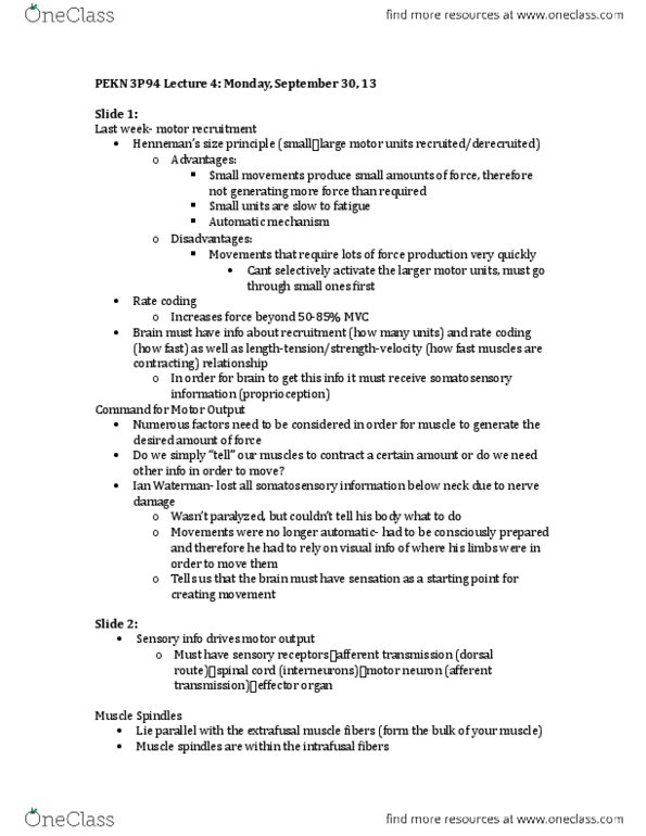 KINE 3P94 Lecture Notes - Lecture 4: Intrafusal Muscle Fiber, Neural Coding, Afferent Nerve Fiber thumbnail