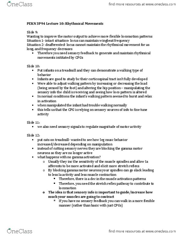 KINE 3P94 Lecture Notes - Lecture 10: Muscle Spindle, Stretch Reflex, Peripheral Neuropathy thumbnail