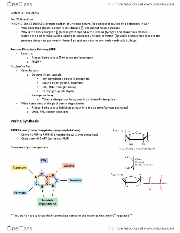 BIOC 302 Lecture Notes - Lecture 3: Phosphoribosyl Pyrophosphate, Anomer, Ribose 5-Phosphate thumbnail