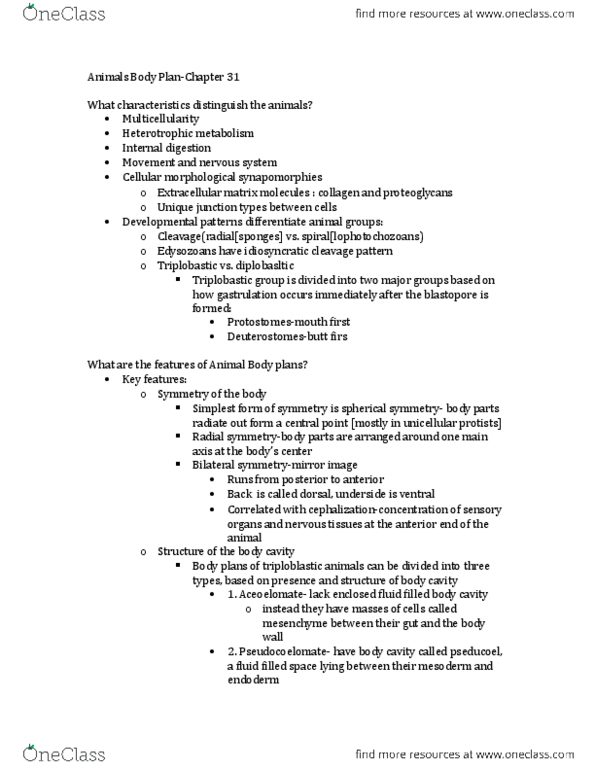 BIOL 1412 Chapter Notes - Chapter 31 and 40: Extracellular Fluid, Extracellular Matrix, Tube Feet thumbnail