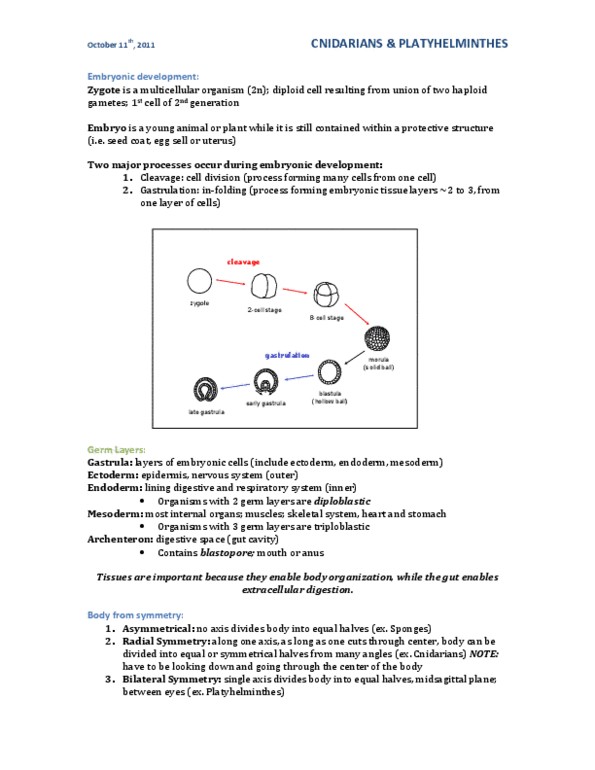 BIOL 111 Lecture Notes - Lecture 11: Monogenea, Scyphozoa, Schistosomiasis thumbnail