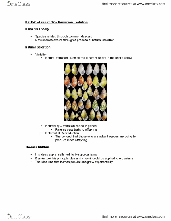 BIOLOGY 152 Lecture Notes - Lecture 17: Thomas Robert Malthus, Darwinism, Heritability thumbnail