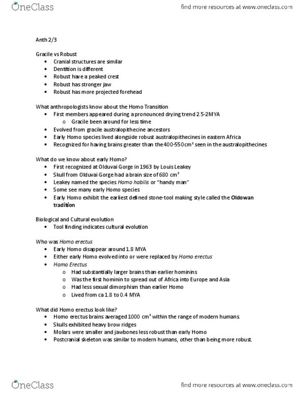 ANTH 101 Lecture Notes - Lecture 9: Australopithecus, Homo Erectus, Olduvai Gorge thumbnail