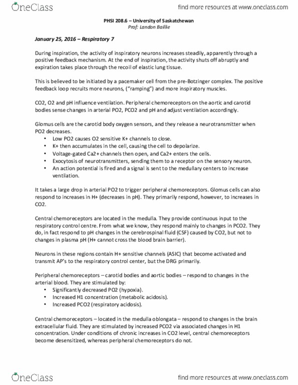 PHSI 208 Lecture Notes - Lecture 7: Peripheral Chemoreceptors, Central Chemoreceptors, Carotid Body thumbnail