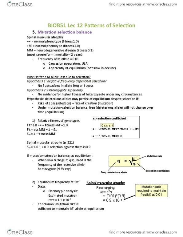 BIOB51H3 Lecture Notes - Lecture 12: Spinal Muscular Atrophy, Frequency-Dependent Selection, Cystic Fibrosis thumbnail