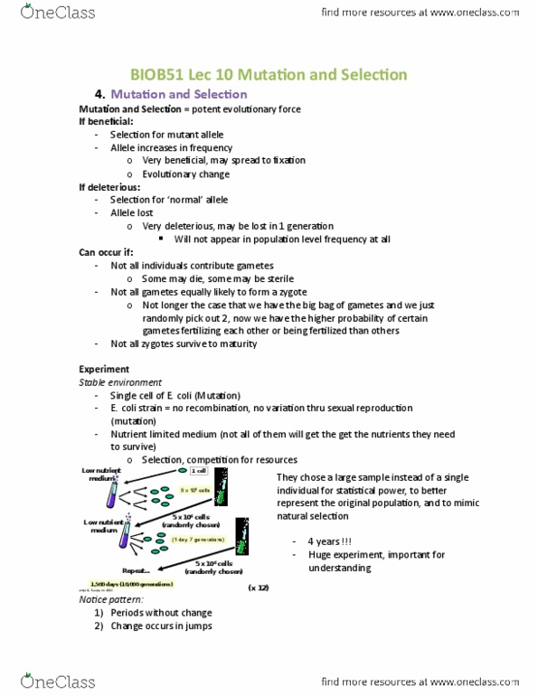 BIOB51H3 Lecture Notes - Lecture 10: Allele Frequency, Genotype Frequency, Statistical Power thumbnail