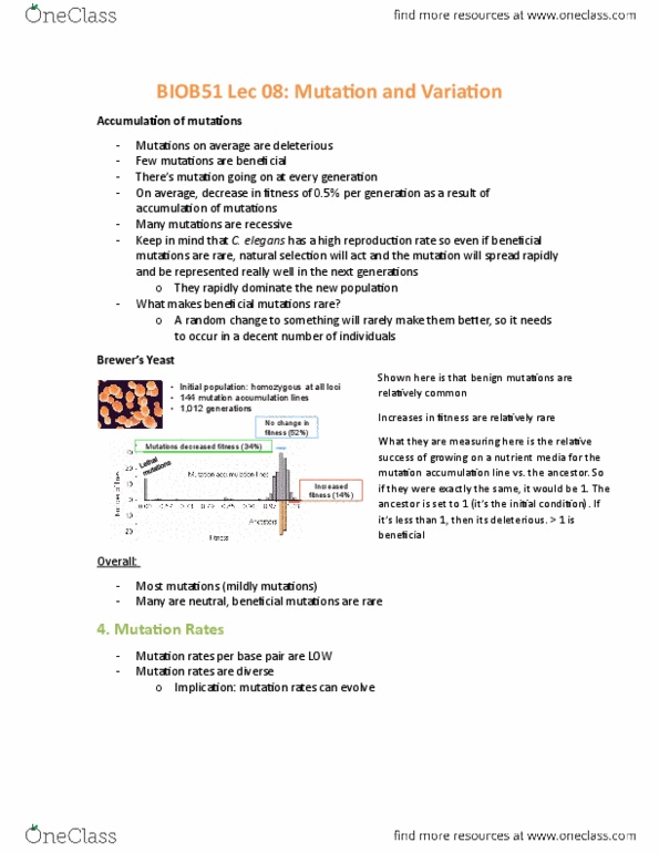 BIOB51H3 Lecture Notes - Lecture 8: Mutation Rate, Young Fathers, Point Mutation thumbnail