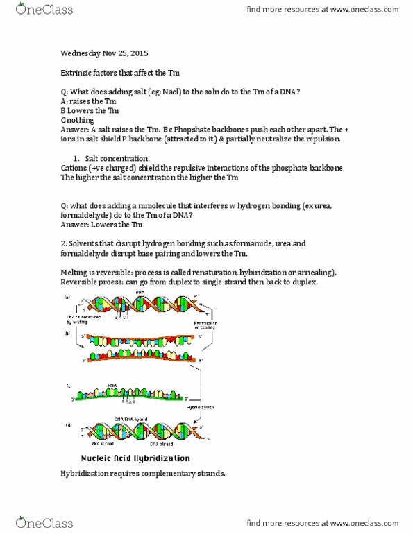 Biochemistry 2288A Lecture Notes - Lecture 4: Northern Blot, Southern Blot, Reverse Transcriptase thumbnail