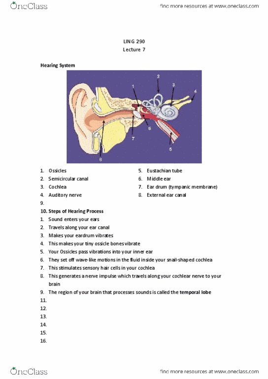 LING 290 Lecture Notes - Lecture 7: Semicircular Canals, Speech Processing, Eustachian Tube thumbnail