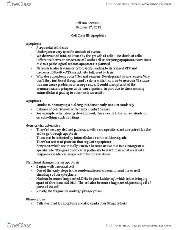 BIO 3153 Lecture Notes - Lecture 9: Ptk2, Lipid Bilayer, Cell Adhesion thumbnail