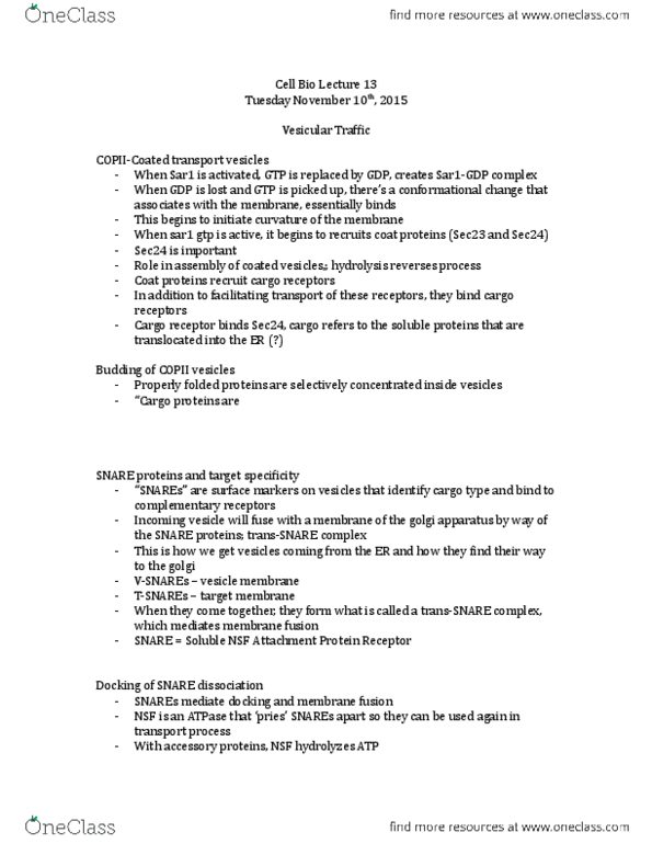 BIO 3153 Lecture Notes - Lecture 13: Snare (Protein), Lipid Bilayer Fusion, Copii thumbnail