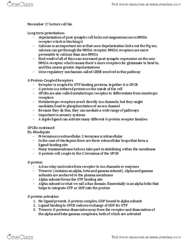 BIO 3153 Lecture Notes - Lecture 18: Nmda Receptor, Metabotropic Receptor, Adenylyl Cyclase thumbnail