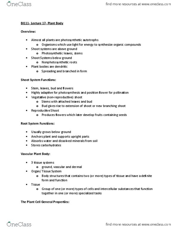 BI111 Lecture Notes - Lecture 17: The Plant Cell, Hemicellulose, Vacuole thumbnail