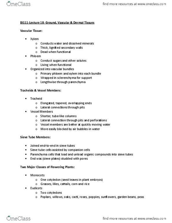 BI111 Lecture Notes - Lecture 18: Tracheid, Lignin, Ground Tissue thumbnail