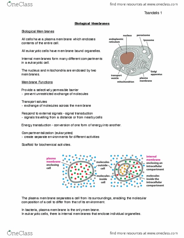 BIOL130 Lecture 1: Biological Membranes thumbnail