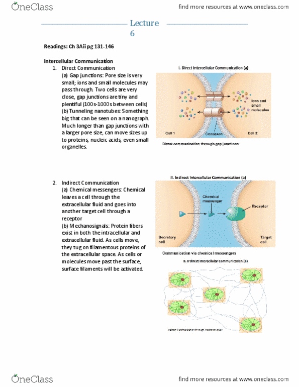 document preview image