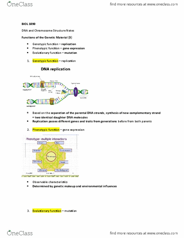 BIOL 1090 Lecture Notes - Lecture 1: Deoxycytidine Monophosphate, Deoxyguanosine, Nucleic Acid Double Helix thumbnail