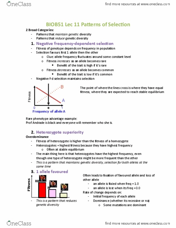 BIOB51H3 Lecture 11: BIOB51 Lec 11 Patterns of Selection thumbnail