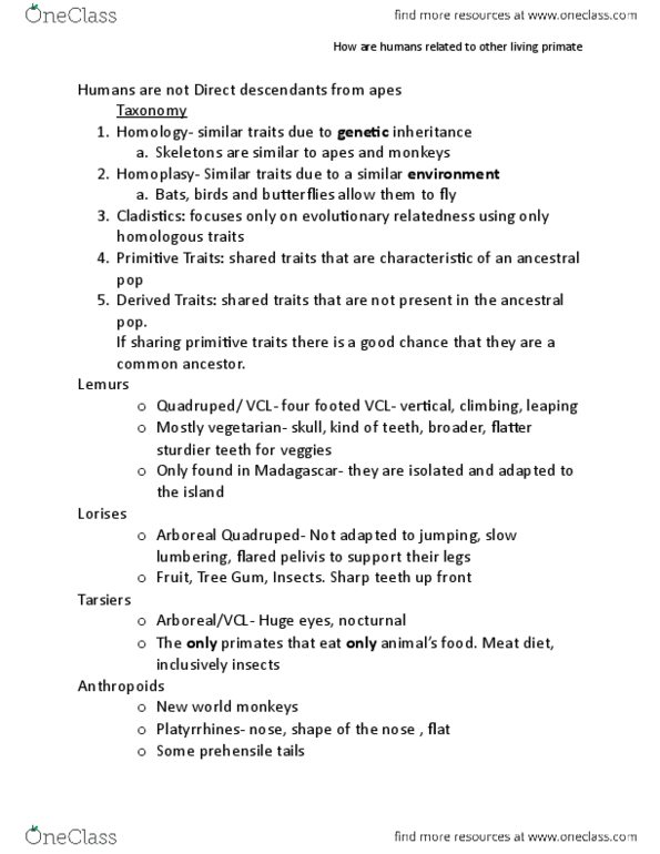 ANTHR101 Lecture Notes - Lecture 9: Hominidae, Quadrupedalism, Brachiation thumbnail