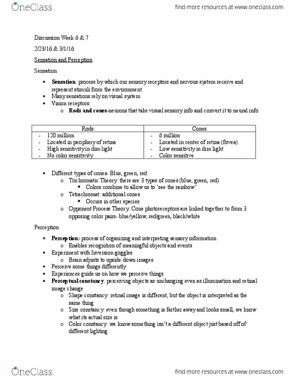 PSY 1001 Lecture Notes - Lecture 6: Retina, Subjective Constancy, Color Constancy thumbnail