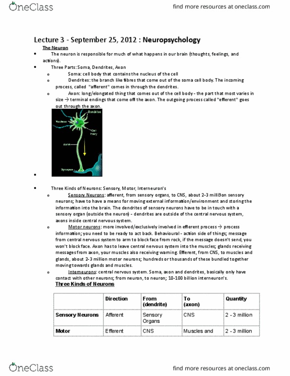 PSYCH101 Lecture Notes - Lecture 3: Central Nervous System, Chemical Reaction, Fornication thumbnail