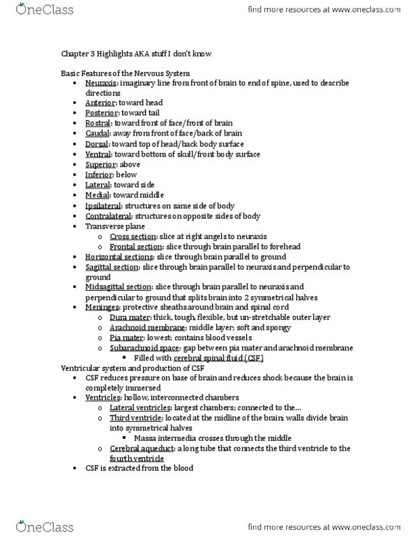 PSYC314 Chapter Notes - Chapter 3: Anterior Nuclei Of Thalamus, Postcentral Gyrus, Medial Geniculate Nucleus thumbnail