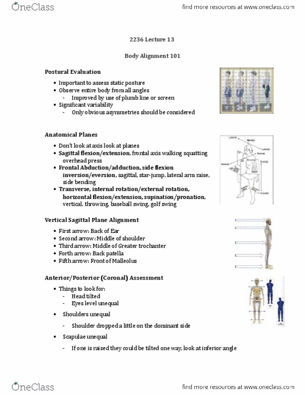 Kinesiology 2236A/B Lecture Notes - Lecture 13: Scoliosis Research Society, Thoracic Vertebrae, Lumbar Vertebrae thumbnail