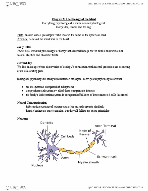 PSY 1101 Chapter 2: The Biology of the Mind - Part 1 (Neurons) thumbnail