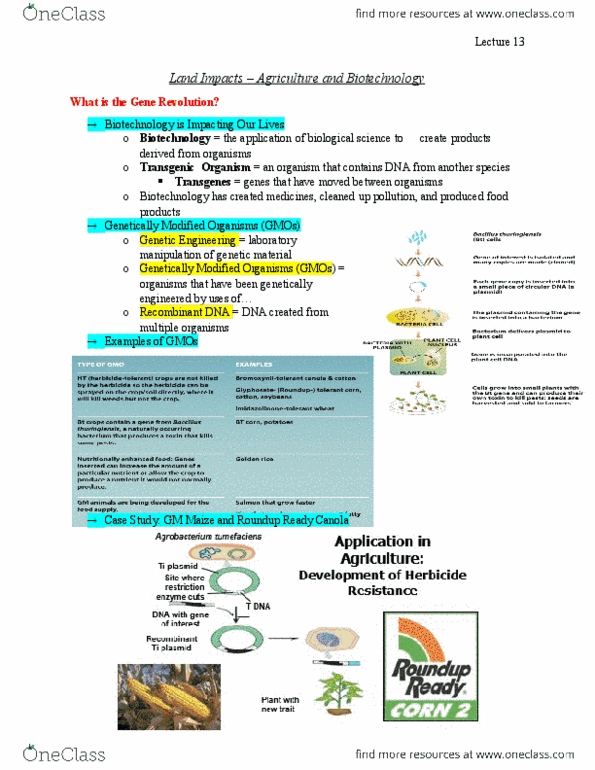 ENVS 1000U Lecture Notes - Lecture 13: Herbicide, Organism, Precautionary Principle thumbnail