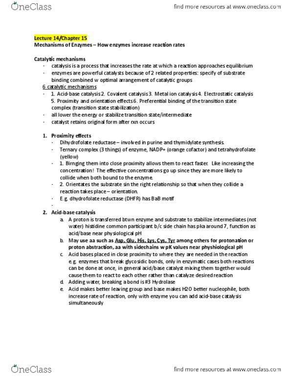 BCH 2333 Lecture Notes - Lecture 14: Chymotrypsin, Enzyme, Histidine thumbnail