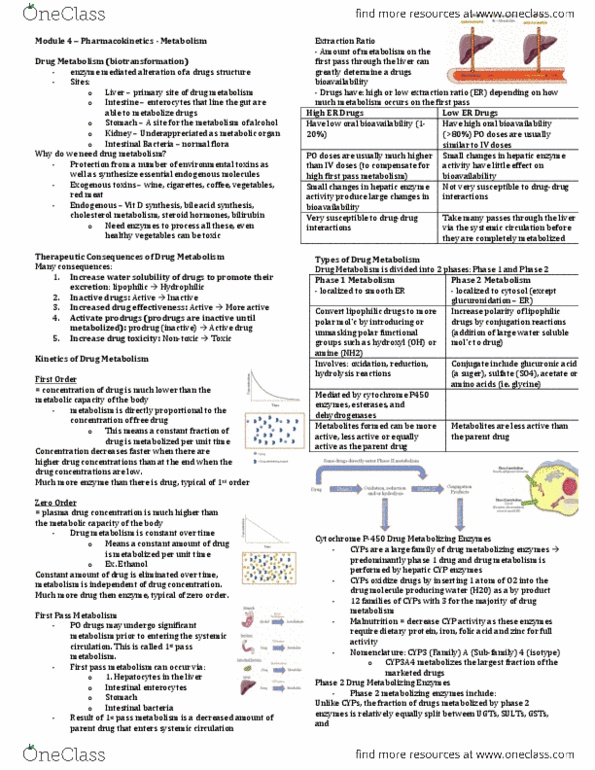 Pharmacology 2060A/B Lecture Notes - Lecture 4: Irinotecan, Critical Role, Hydrolysis thumbnail