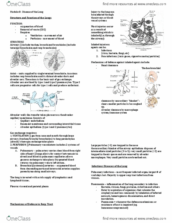 Pathology 2420A Lecture Notes - Lecture 8: Protozoa, Cyanosis, Acinus thumbnail