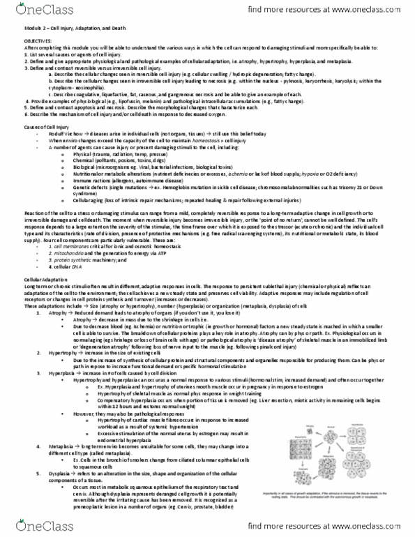 Pathology 2420A Lecture Notes - Lecture 2: Cytoskeleton, Hepatectomy, Lipofuscin thumbnail