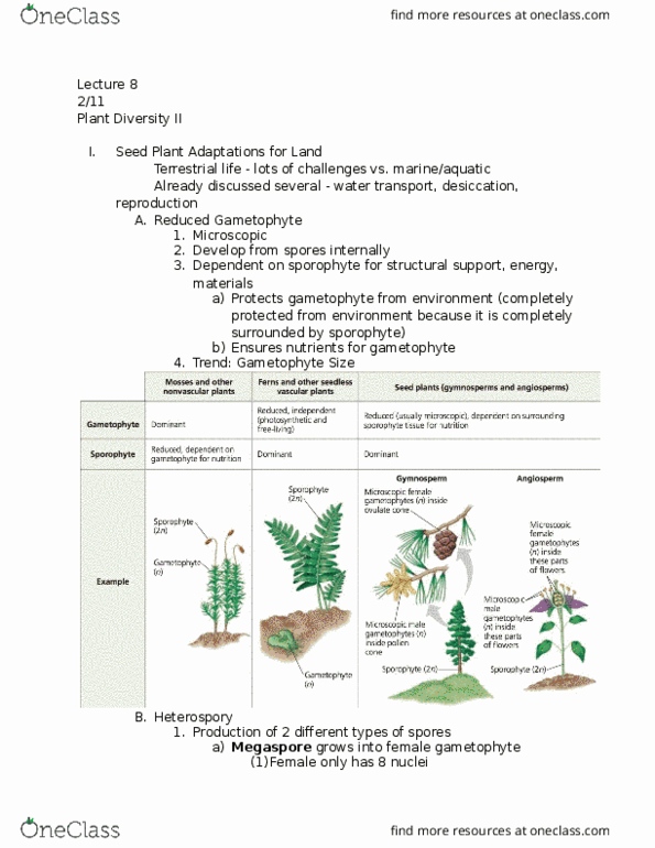 document preview image