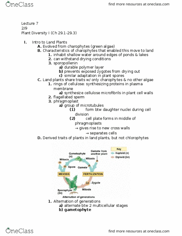 01:119:116 Lecture Notes - Lecture 7: Cyanobacteria, Sphagnum, Microsporangia thumbnail