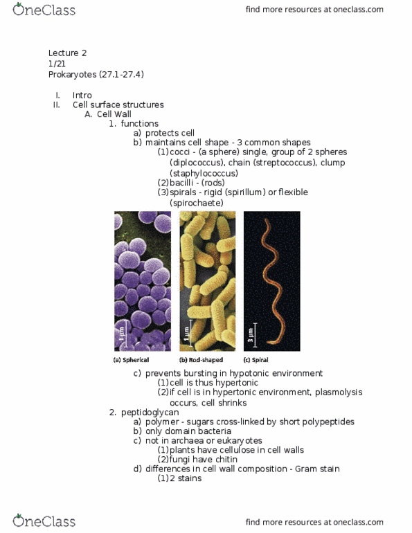 01:119:116 Lecture Notes - Lecture 2: Proteobacteria, Campylobacter, Genetic Recombination thumbnail