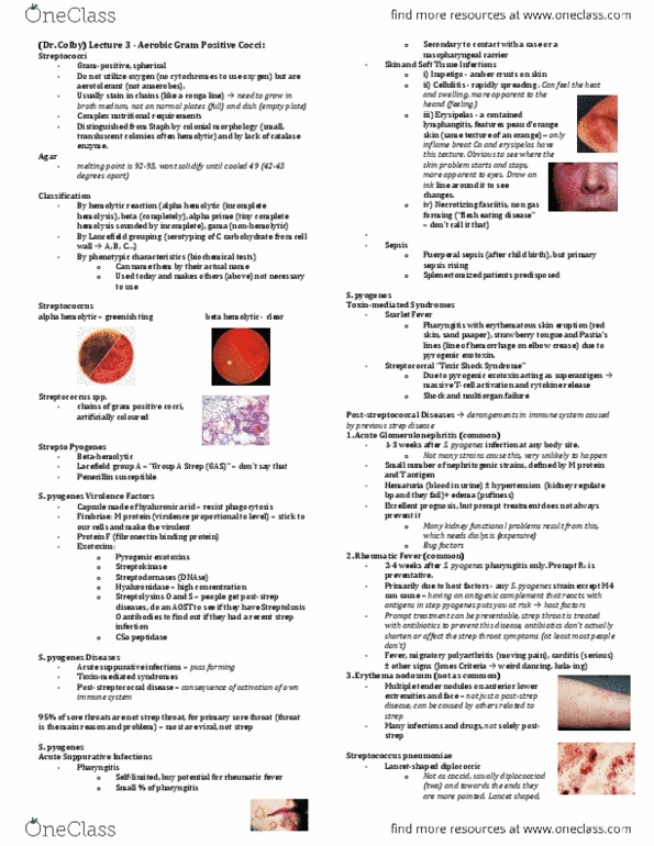 Microbiology and Immunology 3820A Lecture Notes - Lecture 9: Endocarditis, Carditis, Chronic Obstructive Pulmonary Disease thumbnail