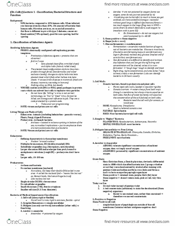 Microbiology and Immunology 3820A Lecture Notes - Lecture 7: Actinomyces Israelii, Keratin, Periplasm thumbnail