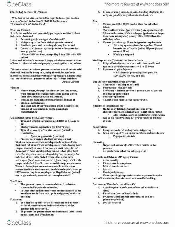 Microbiology and Immunology 3820A Lecture Notes - Lecture 16: Amoxicillin, Infectious Mononucleosis, Exanthem thumbnail