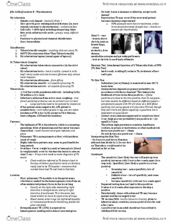 Microbiology and Immunology 3820A Lecture 14: (Dr. Colby) Lecture 8 - Mycobacteria thumbnail