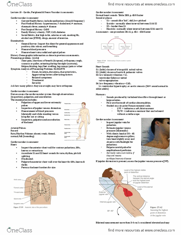 Nursing 1101W Lecture Notes - Lecture 10: Heart Block, Anatomical Terms Of Motion, Sympathetic Nervous System thumbnail