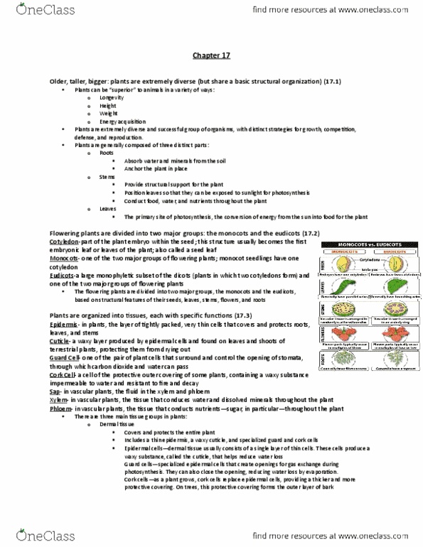 BIO 101 Chapter Notes - Chapter 17: Organic Matter, Meristem, Silt thumbnail