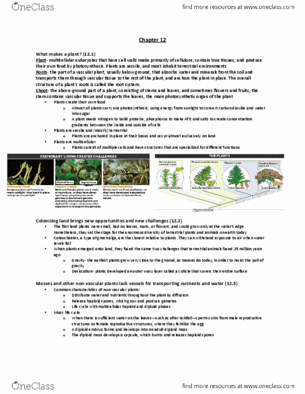 BIO 101 Chapter Notes - Chapter 12: Agaricus Bisporus, Motility, Chitin thumbnail