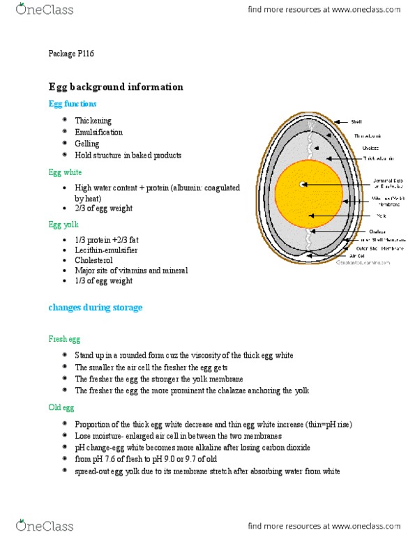 HTM 2700 Chapter Notes - Chapter egg: Lipophilicity, Peptide, Bain-Marie thumbnail