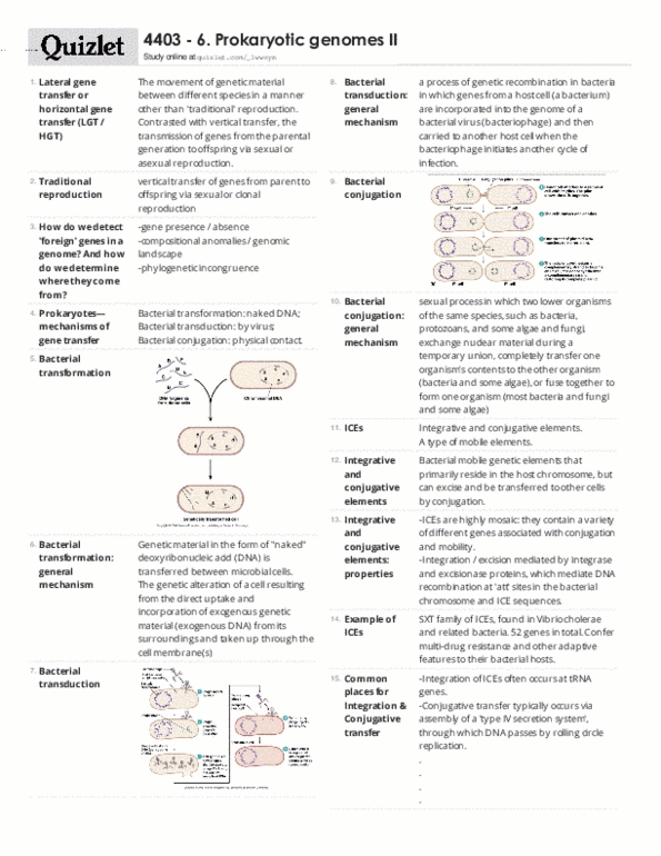 BIOC 4403 Lecture Notes - Lecture 6: Gene Expression, Govia, Enterocyte thumbnail