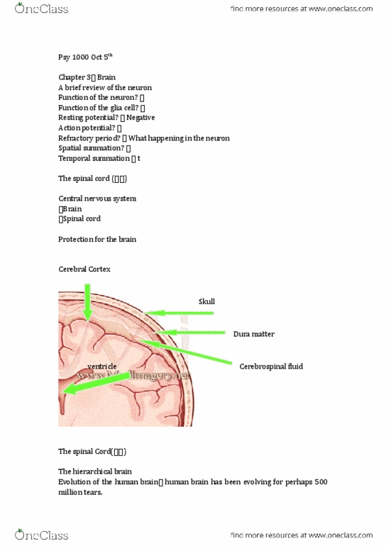 Psychology 1000 Lecture Notes - Lecture 1: Pituitary Gland, Frontal Lobe, Gyrus thumbnail