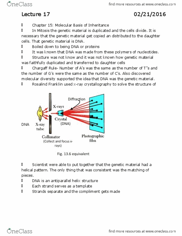 BILD 1 Lecture Notes - Lecture 17: Primase, Enzyme, Dna Replication thumbnail