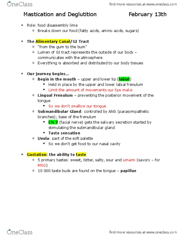 HTHSCI 1H06 Lecture Notes - Lecture 4: Migrating Motor Complex, Lactase, Chymotrypsinogen thumbnail