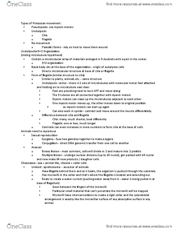 BIO 2135 Lecture Notes - Lecture 3: Nucleoid, Meiosis, Genetic Recombination thumbnail