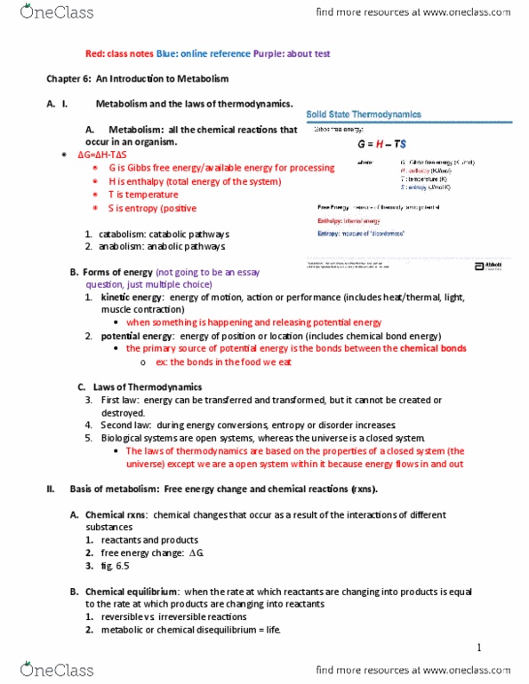 EBIO 1210 Lecture Notes - Lecture 6: Competitive Inhibition, Activation Energy, Macromolecule thumbnail